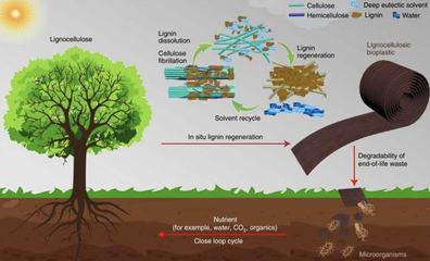 取于自然用于發展 生物基材料引領未來市場新趨勢